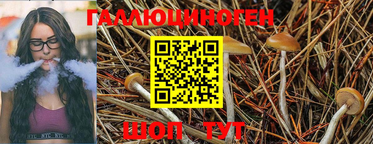 Галлюциногенные грибы Magic Shrooms  Вход с VPN  Миасс 