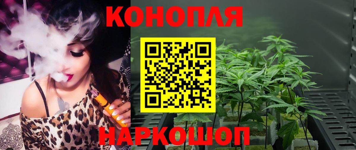 Бошки Шишки план  Бошки марихуана планчик  Миасс  Вход с VPN 